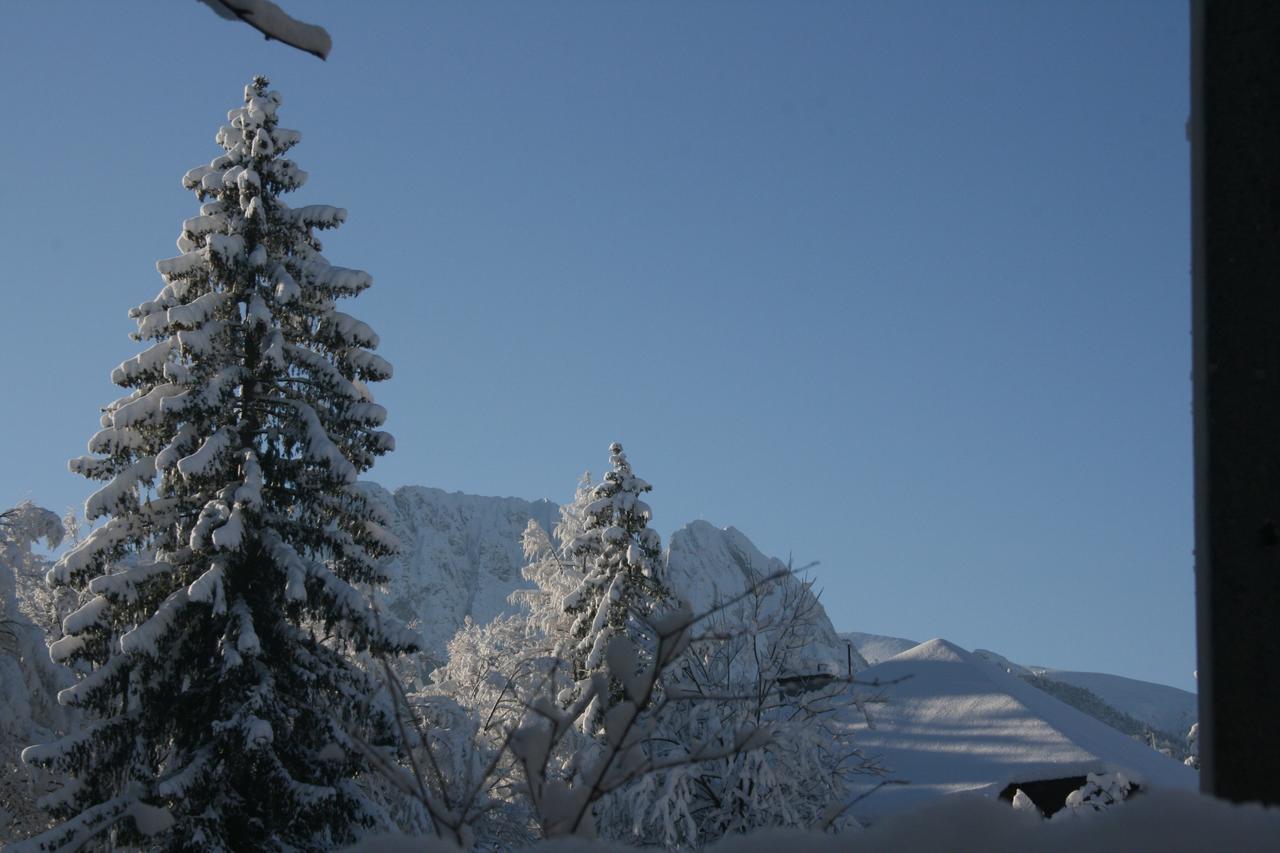Paradis Apartament Zakopane